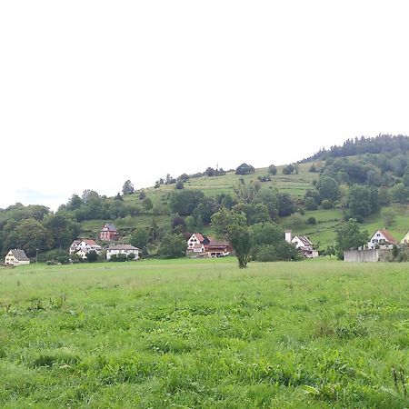 Les Studios Du Frankenthal Stosswihr エクステリア 写真
