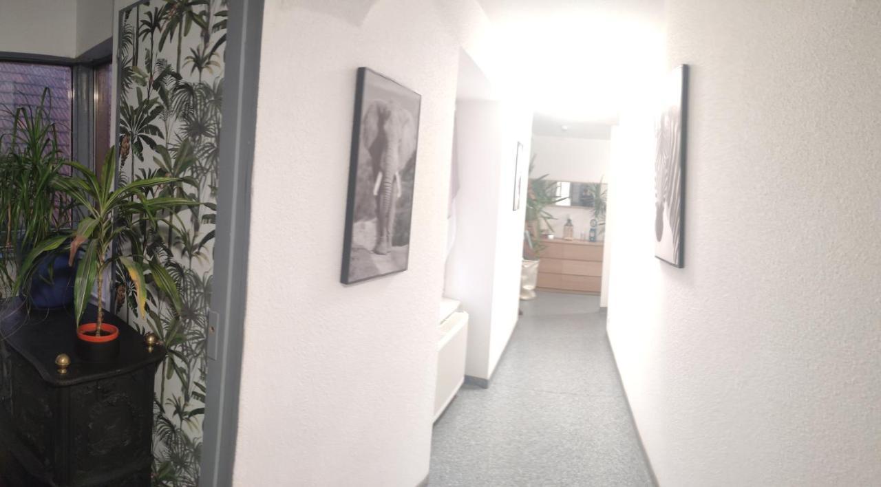 Les Studios Du Frankenthal Stosswihr エクステリア 写真
