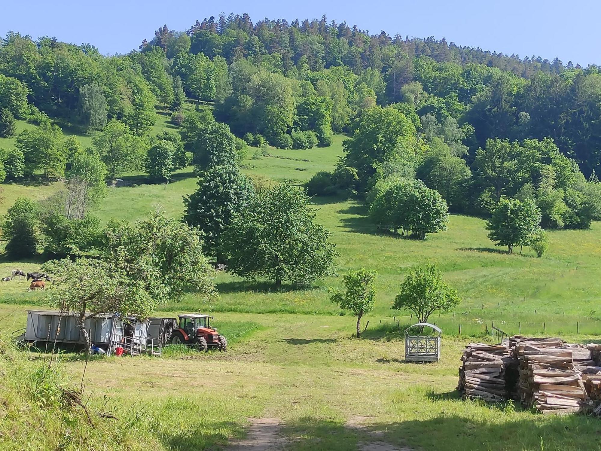 Les Studios Du Frankenthal Stosswihr エクステリア 写真
