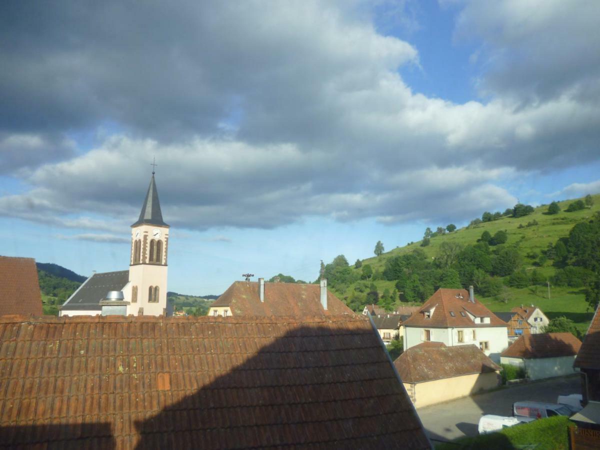 Les Studios Du Frankenthal Stosswihr エクステリア 写真