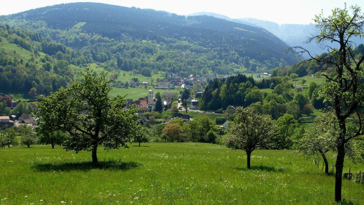Les Studios Du Frankenthal Stosswihr エクステリア 写真