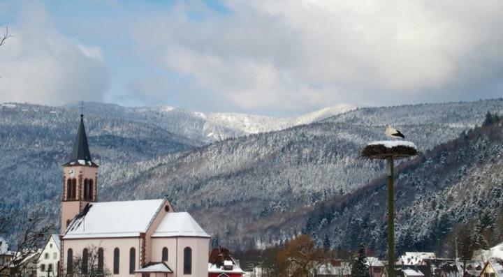Les Studios Du Frankenthal Stosswihr エクステリア 写真